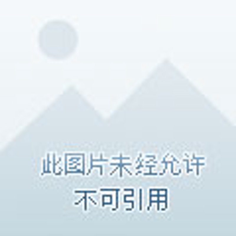 正山小种,这一款源自中国福建省武夷山的名茶,不仅深受爱茶人士的喜爱,其独特的功效和作用更是让人称道。在品珍苑茶业,我们为大家深度解析正山小种的功效与作用。